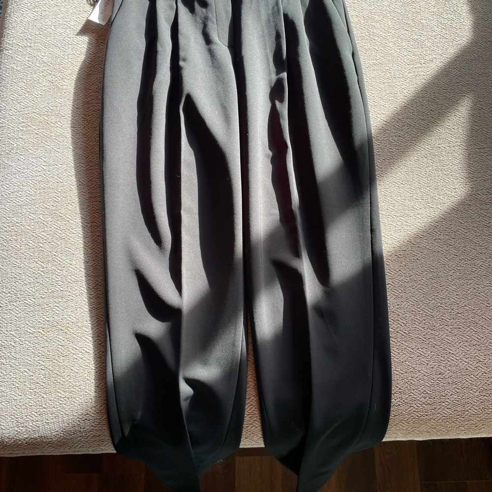 Aritzia Babaton Cohen Pants